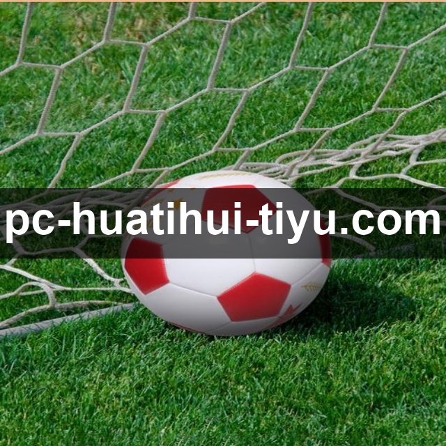 华体会发展历程